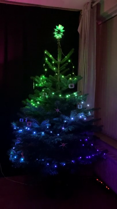 Christmas Tree Project